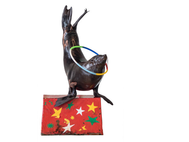 白色背景的马戏团印章图片下载