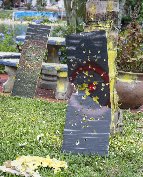 彩弹射击练习图片下载