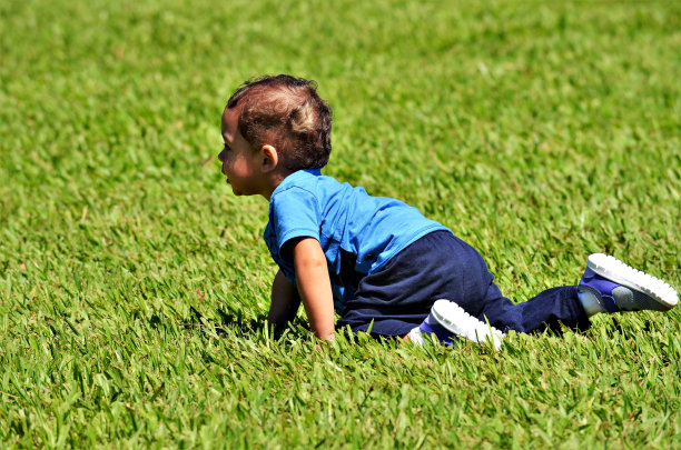 阳光明媚的一天。图片下载