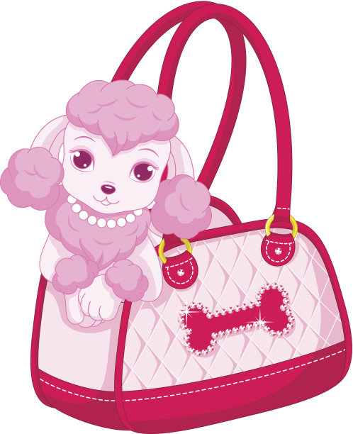 粉红色的贵宾犬图片下载