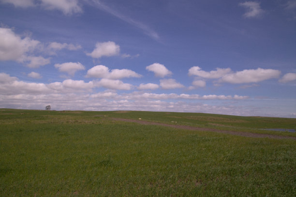 绿油油的田野上有一棵树，还有蔚蓝多云的天空图片下载