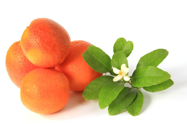 血橙(柑橘)图片下载