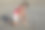可爱的拉丁女孩在沙滩上玩耍图片下载