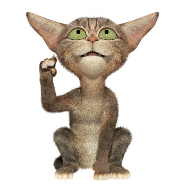 毛茸茸的小猫爪子图片下载