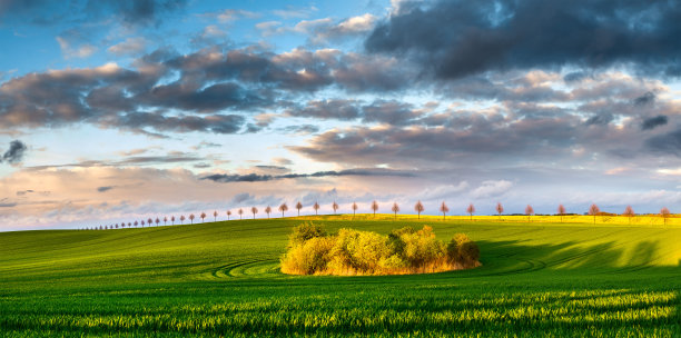 风暴过后的田野图片下载