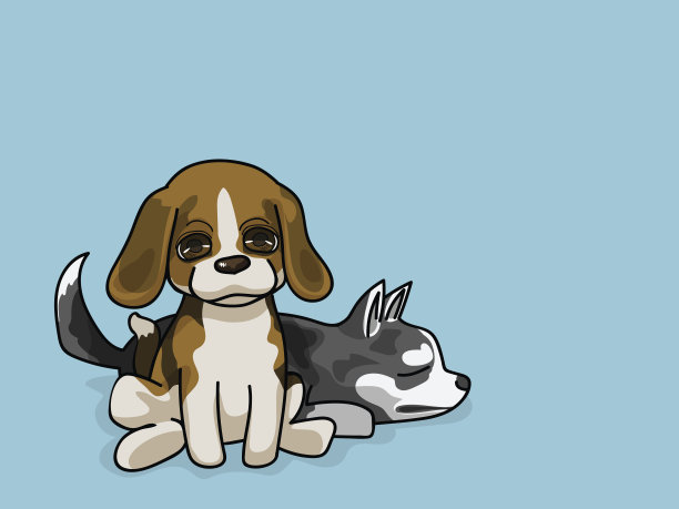 小猎犬皮和西伯利亚皮图片下载