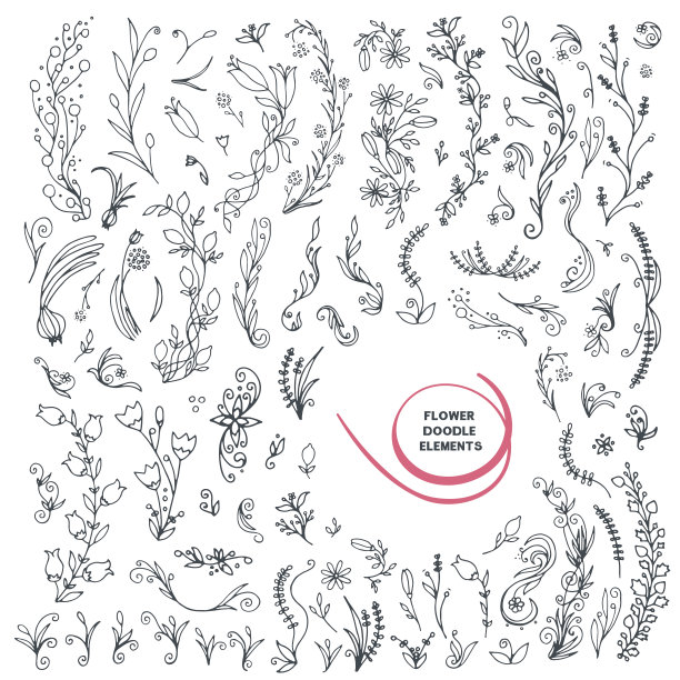 花卉涂鸦元素集。手绘花卉部件。装饰性植物和花卉。图片下载