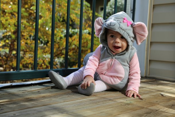 小老鼠图片下载