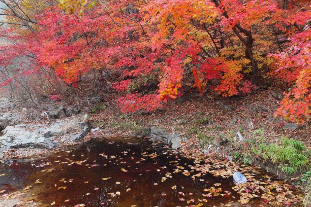秋湖山图片下载