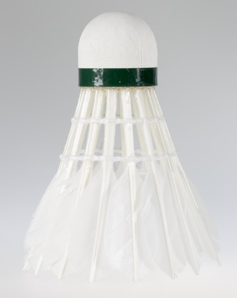 白色羽毛毽子图片下载