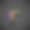 光滑的黑色字母R小写带彩色反射图片下载