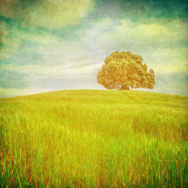 垃圾图像的树在垃圾背景图片下载