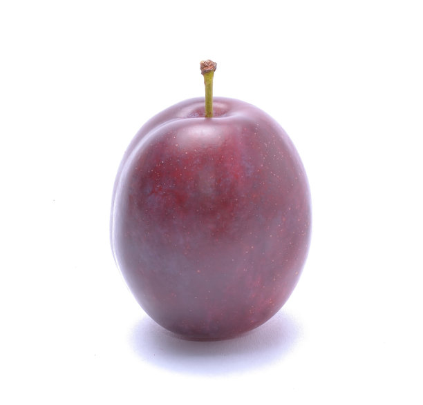 新鲜成熟的李子图片下载