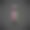 光滑的黑色字母I小写带有彩色反射图片下载