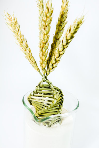 DNA阵列中的扭曲颗粒图片下载