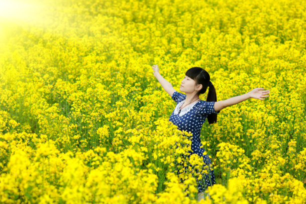 科尔的花图片下载