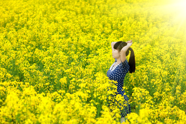 科尔的花图片下载