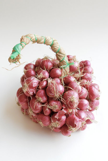 红洋葱图片下载