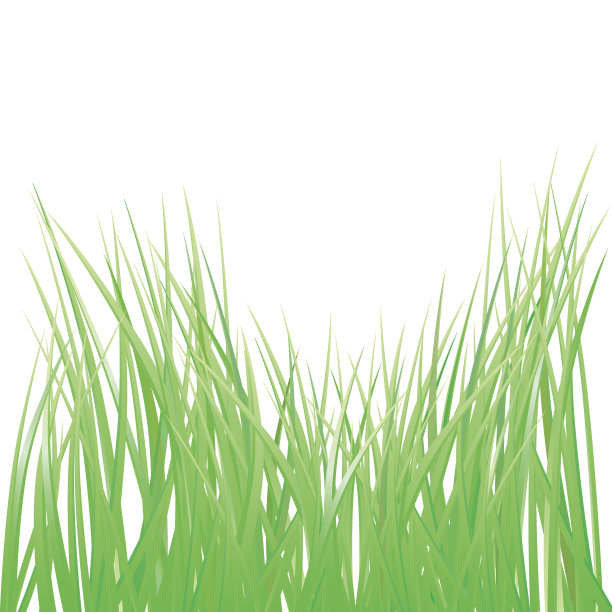 矢量鲜草插图图片下载