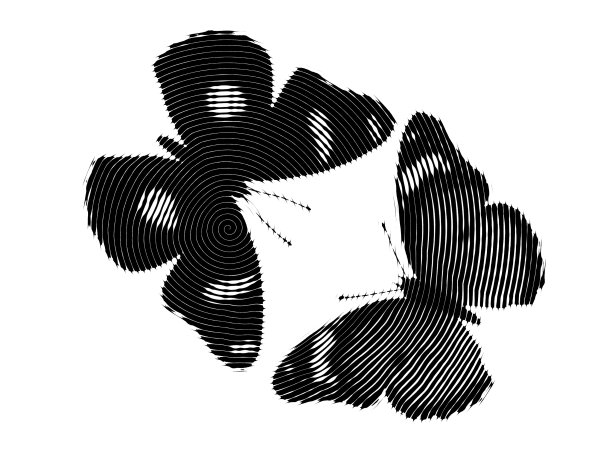 蝴蝶图形设计图片下载