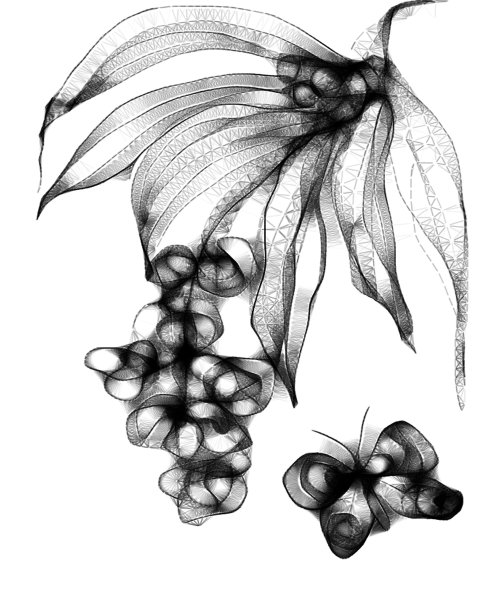 蝴蝶画图片下载