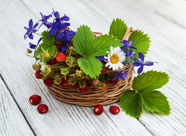 有野草莓和野花的篮子图片下载