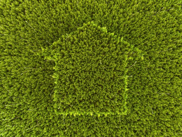 生态的兴起图片下载