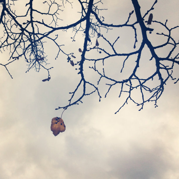 季节变化图片下载