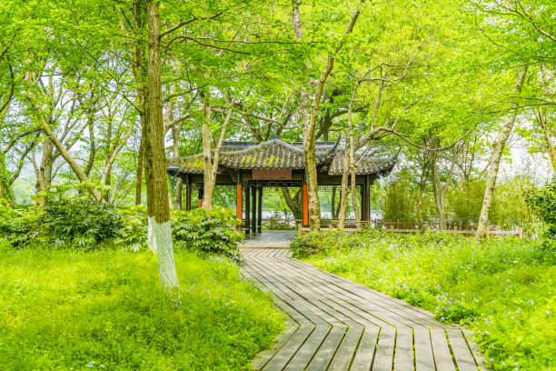 美丽的杭州西湖风光素材图片