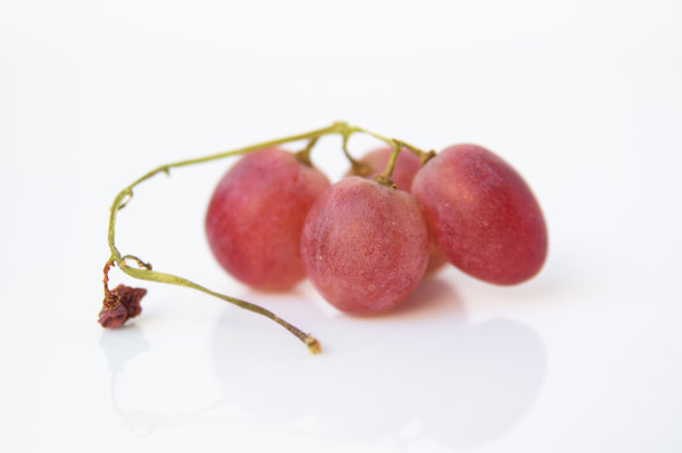 发光的成熟的红葡萄浆果图片下载