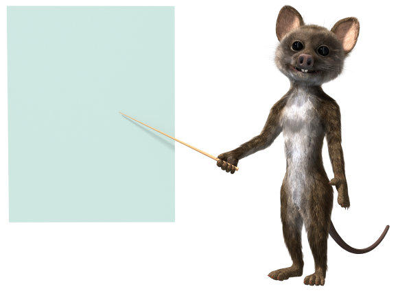 鼠标显示与指针图片下载