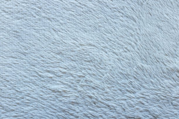 地毯的头发图片下载