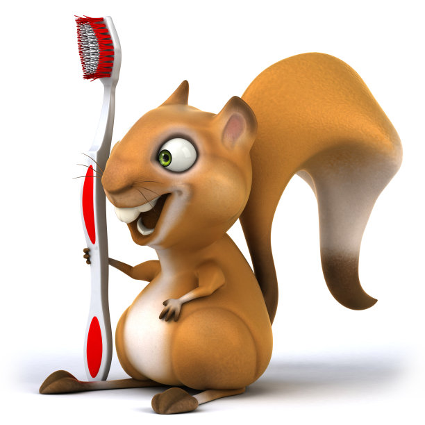 有趣的松鼠图片下载