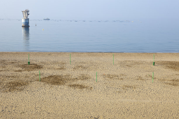 埃尔凯布尔海滩，玛贝拉图片下载