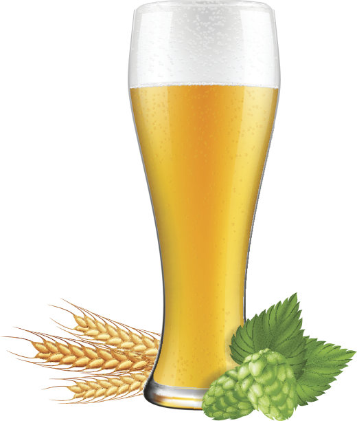 啤酒杯，啤酒花和大麦。图片下载