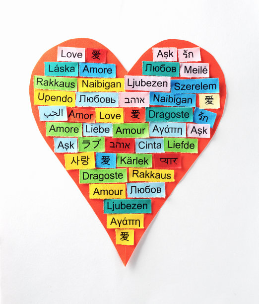 爱多语言词图片下载
