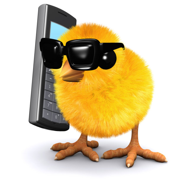 3d小鸡聊天手机图片下载