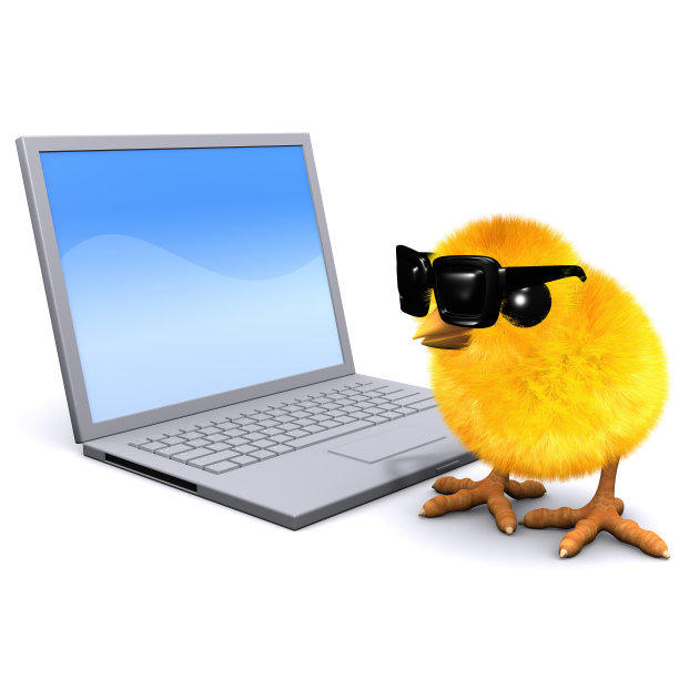 3d小鸡与笔记本电脑图片下载