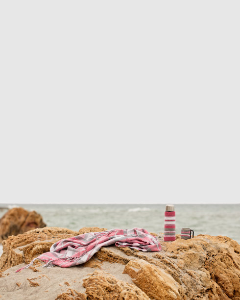 粉色格子装在一个笼子里，还有一个热水瓶和一个杯子放在海边海滩的一块石头上。图片下载