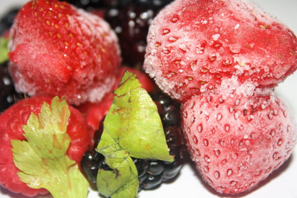 磨砂的浆果图片下载