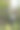 加勒比黑人的园丁工作图片下载