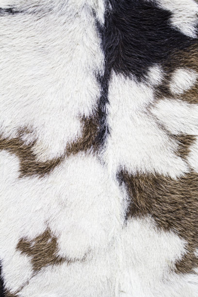 皮肤纹理图片下载