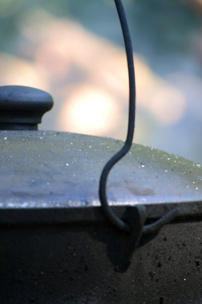 壶、壶的把手和盖子图片下载