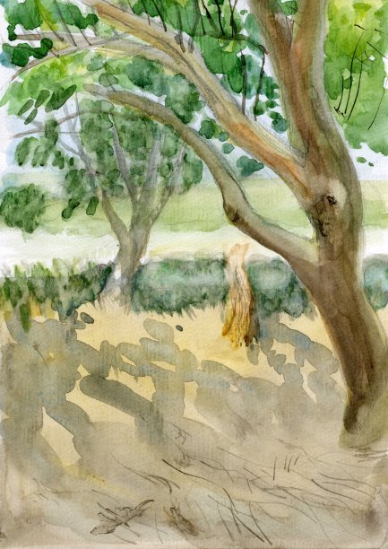 阴暗的花园图片下载