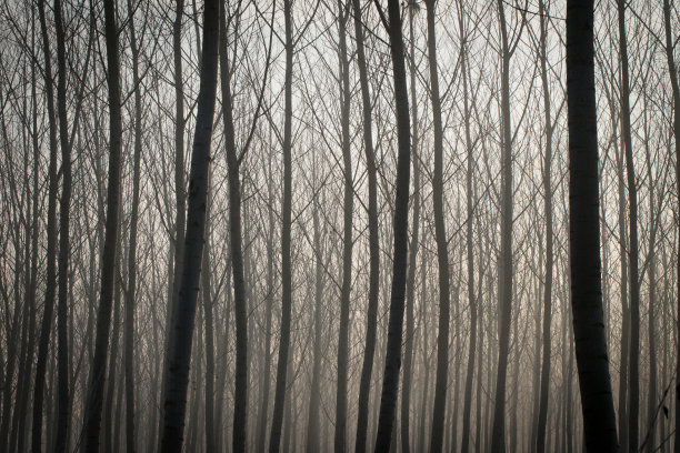 冰冻的冬天图片下载