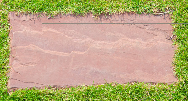 绿色背景上的石头人行道图片下载