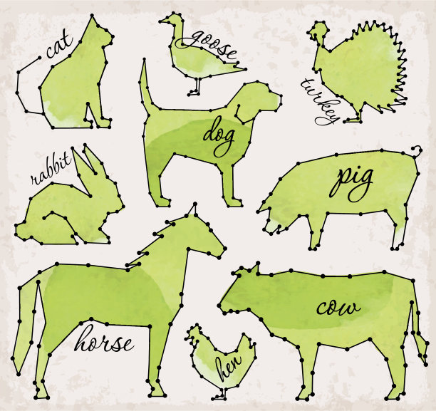 抽象线和点农场动物设置矢量插图图片下载