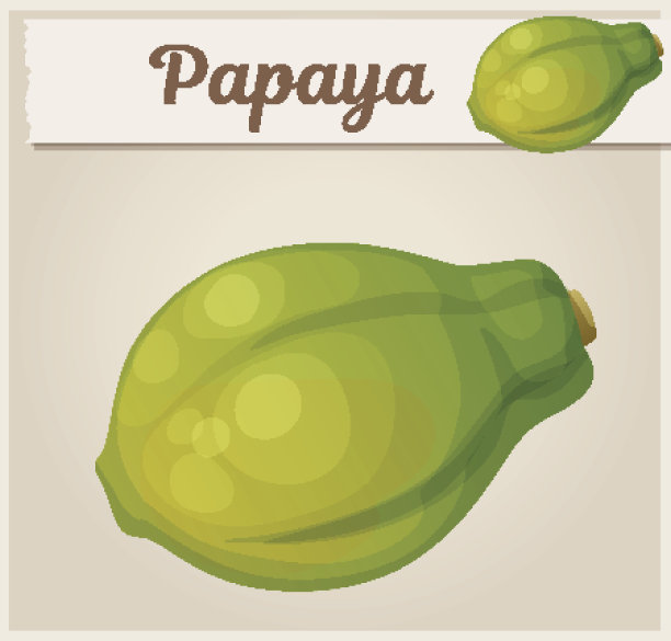 整个木瓜水果。卡通矢量图标。系列食品、饮料和烹饪配料图片下载