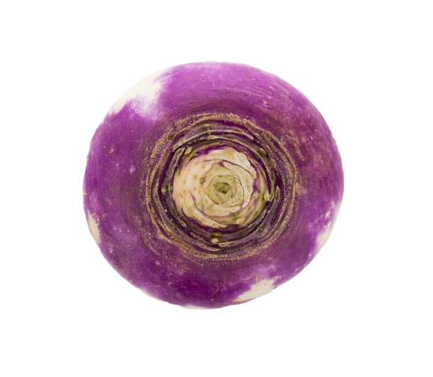 整个紫色的头萝卜在白色的背景-股票图像图片下载