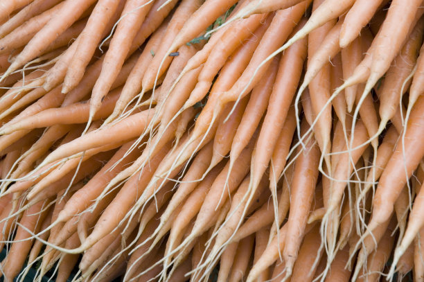 胡萝卜图片下载